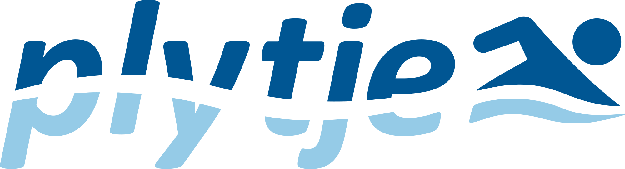 Piraten-Party
