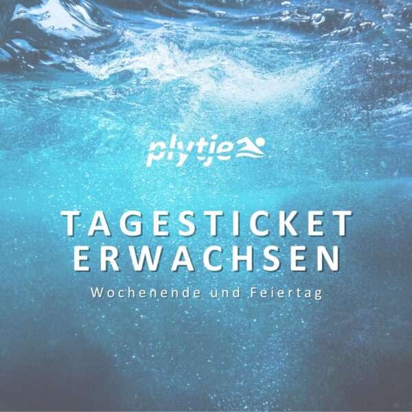 Tagesticket Erwachsener Wochenende/Feiertag