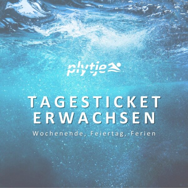 Tagesticket Erwachsener Wochenende/Feiertag/Ferien